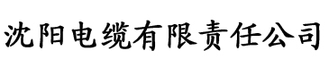 亚洲国产综合久久久无码色伦电缆厂logo